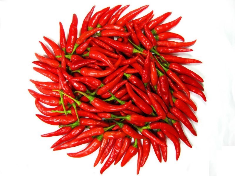干草药 - Small Chili 小辣椒 500g